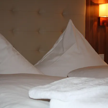 Ehranger Hof 3* トリーア