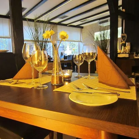 Hotel Ehranger Hof Treviri